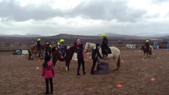 Highland Horse Fun