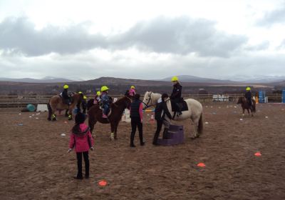 Highland Horse Fun