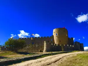 Castillo de La Adrada