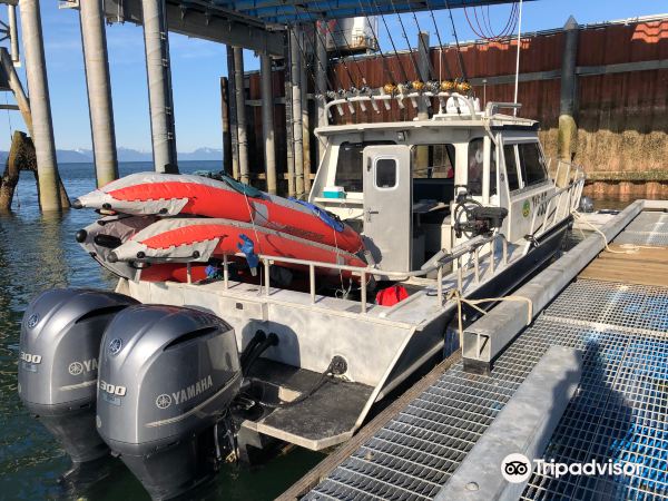 Juneau to Gustavus flight