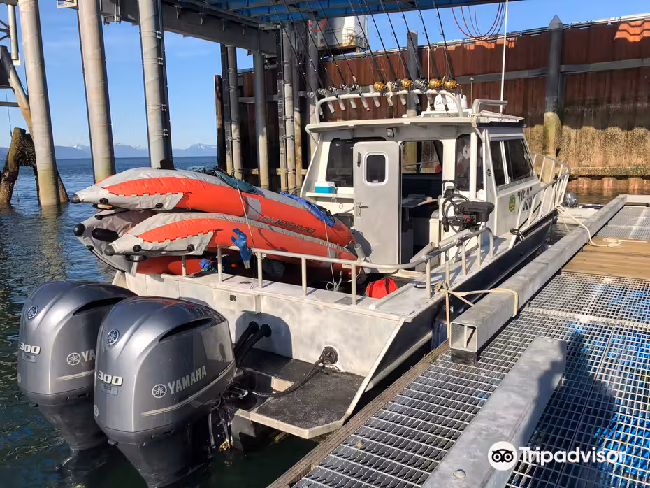 ${{cityDName}} to Excursion Inlet Flights