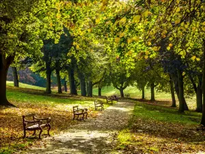 Bellevue Park