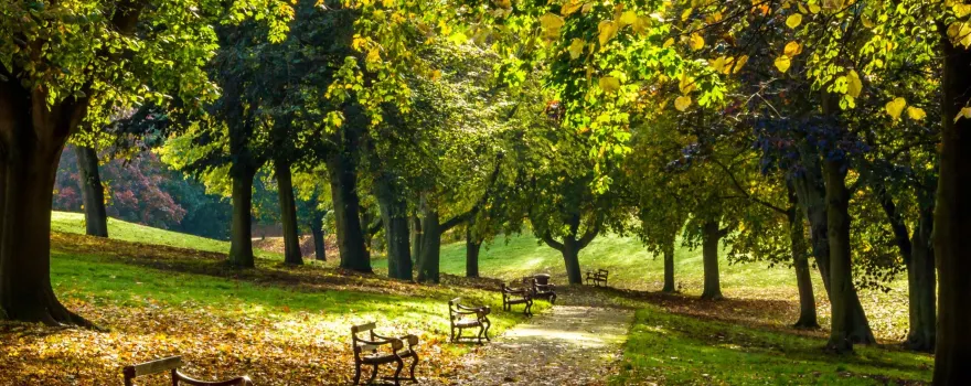 Bellevue Park