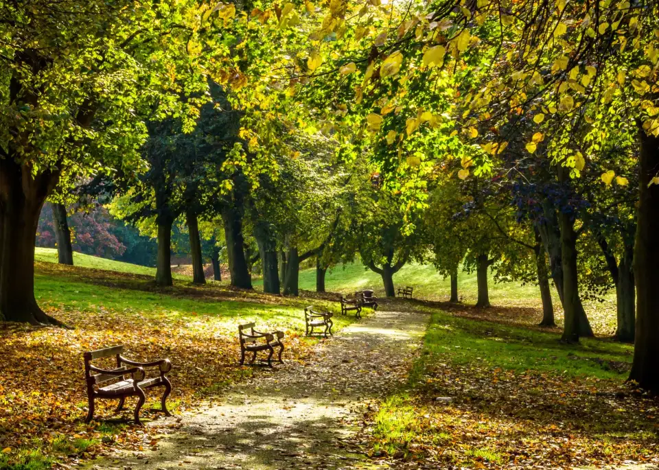 1_Bellevue Park