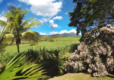 Basse Terre