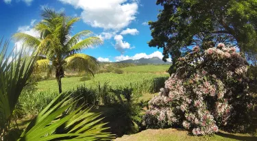 Basse Terre