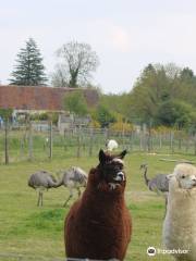 Parc Animalier d'Écouves