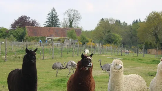 Animal Park Ecouves