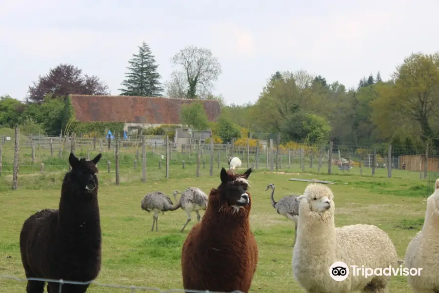 Animal Park Ecouves