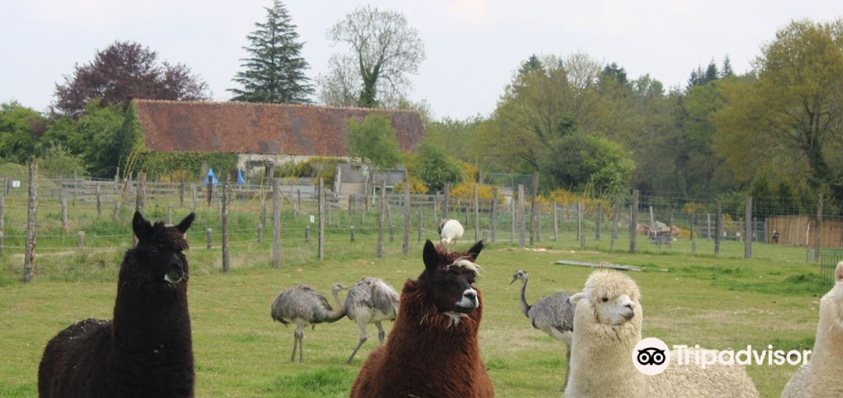 Le Bouillon Travel Guide 2024 Things to Do, What To Eat & Tips