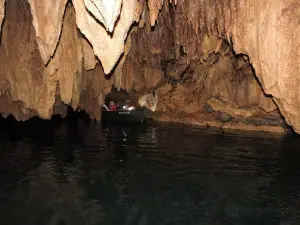 River Rat Belize