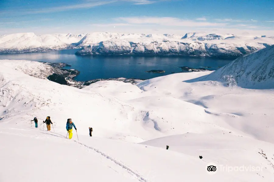 The Lyngen Alps