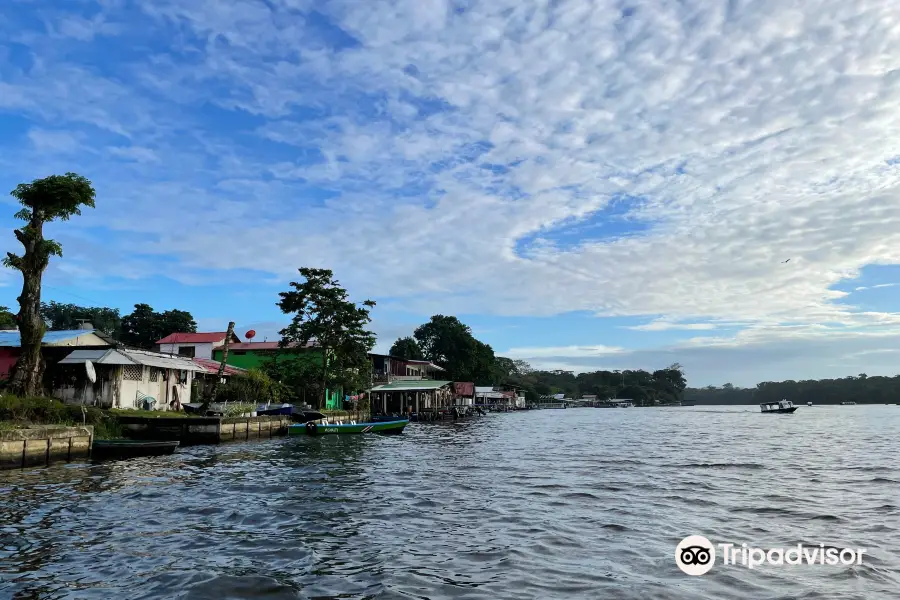 Tortuguero Canal