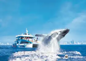 Sea World Cruises