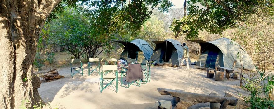 Kafue National Park
