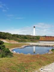 Covesea Lighthouse