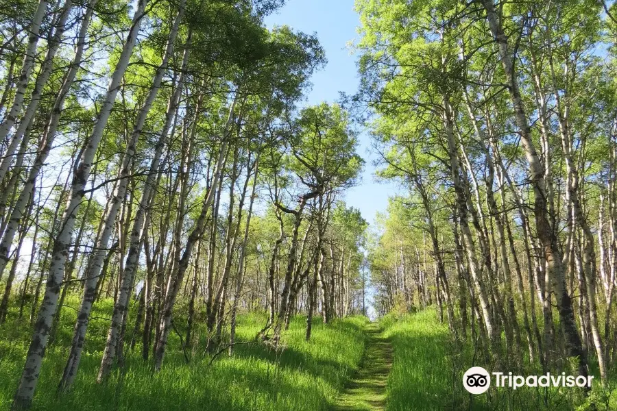 Ann and Sandy Cross Conservation Area