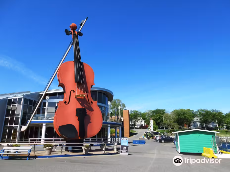 ${{cityDName}} to Sydney Flights