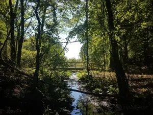 インディペンデンス・オークス郡立公園