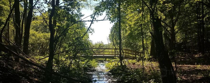 Independence Oaks County Park