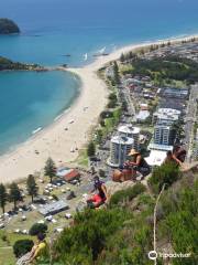 Mauao / Mount Maunganui summit