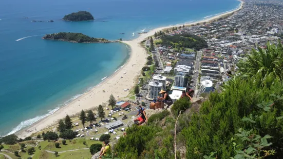 Mauao / Mount Maunganui summit