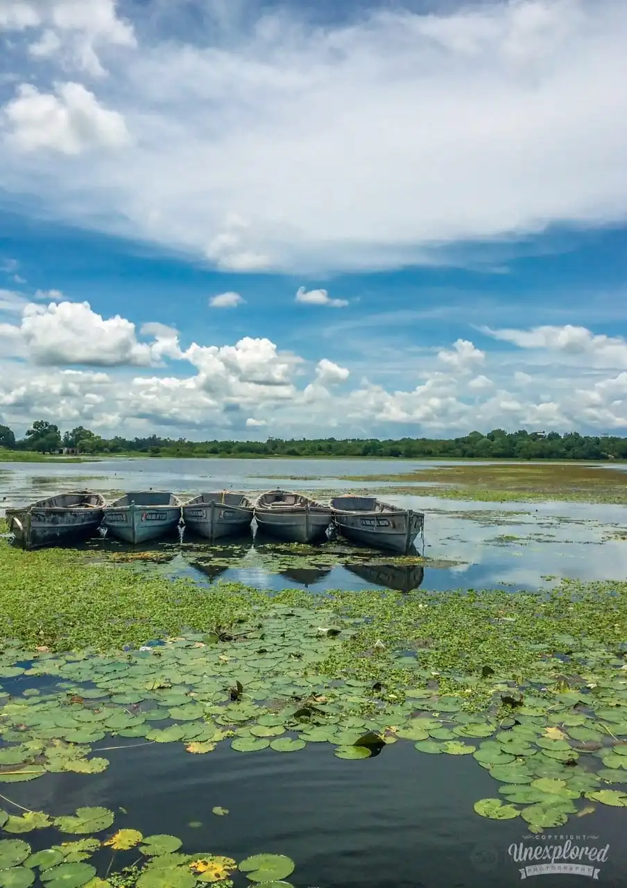 Hotels near Futala Lake