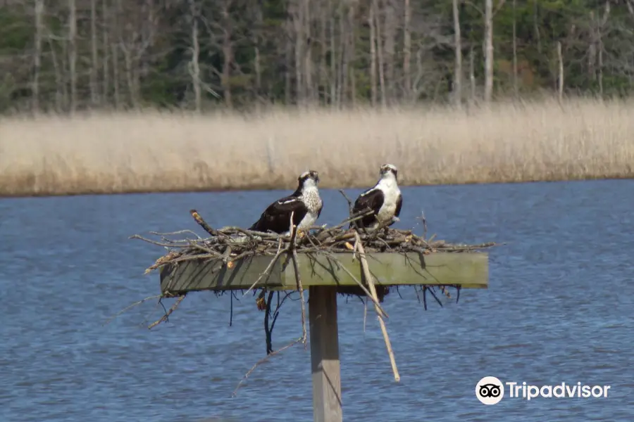 Merkle Wildlife Sanctuary