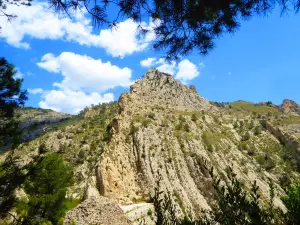 Pantano de Tibi