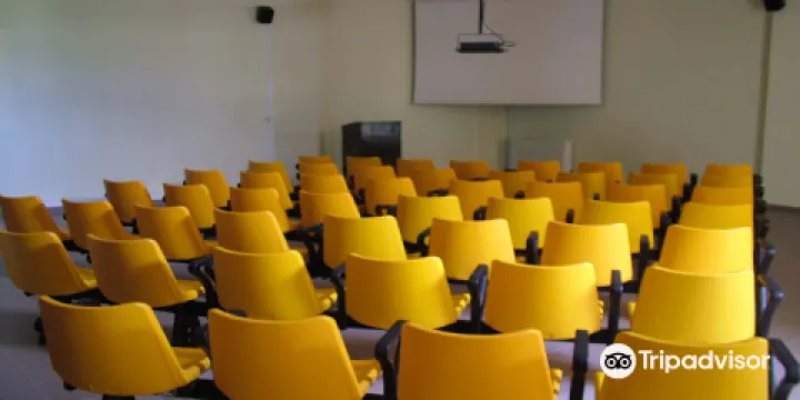 The Olive Oil Museum