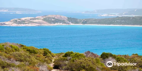Hillview Lookout