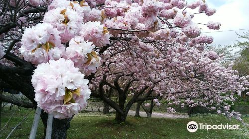 Matsumae Park