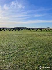 Woodhenge