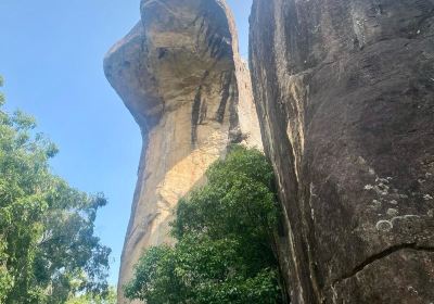 Sigiriya The Ancient Rock Fortress