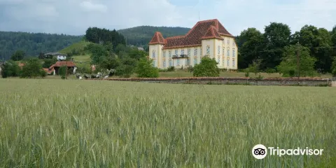 Schloss Wildbach - Deutschlandsberg