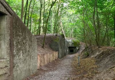 Skanderborg Bunkerne