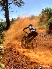 Freeride Mountain Biking Madeira Island