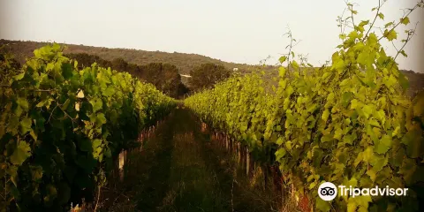 Korenika & Moskon Winery