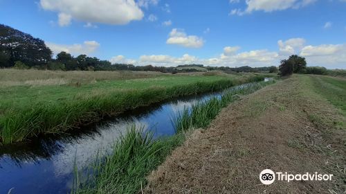 Royal Military Canal