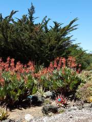 San Luis Obispo Botanical Garden