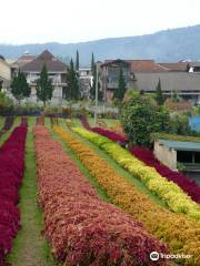 Rainbow Garden Lembang