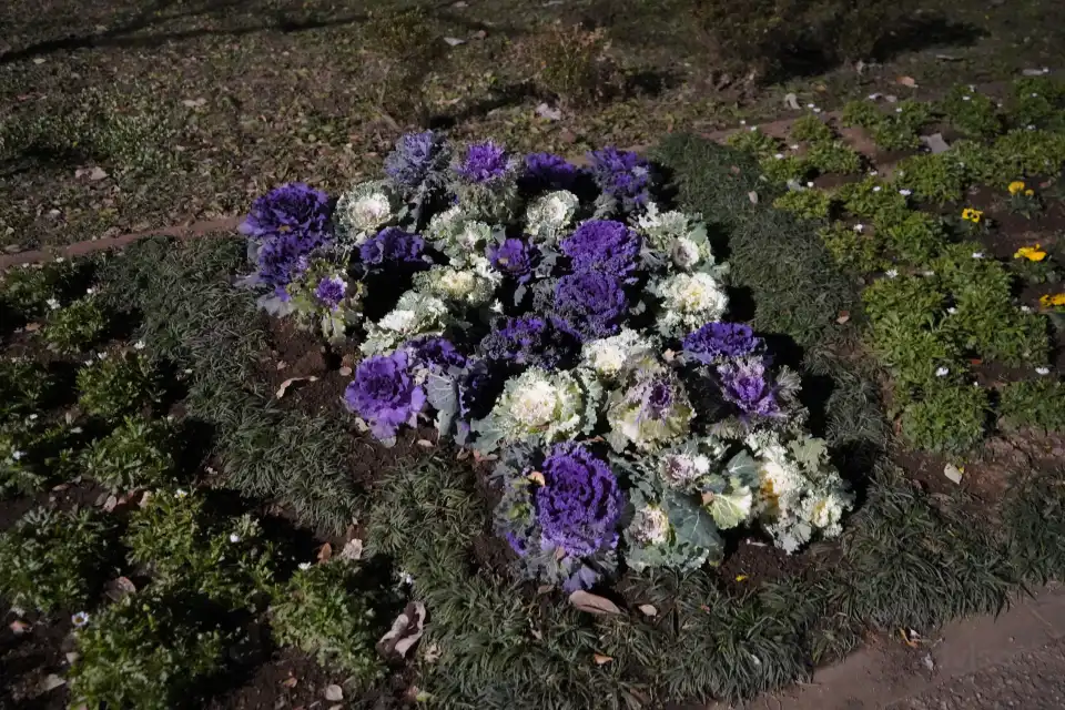 3_Maruyamajoshi Park