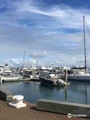 Port Stephens Parasailing