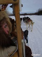 Alaskan Husky and Horse Adventures