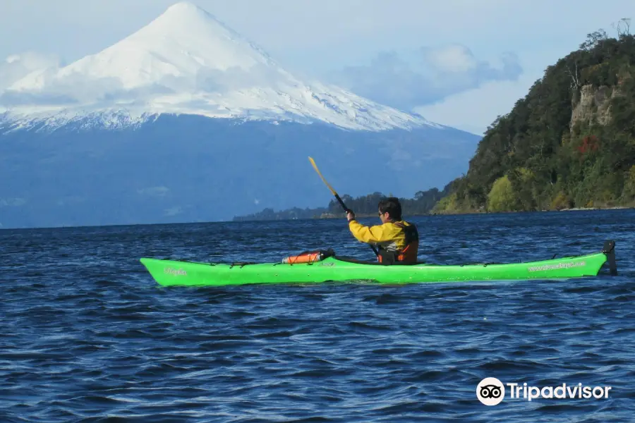 Grow in Patagonia