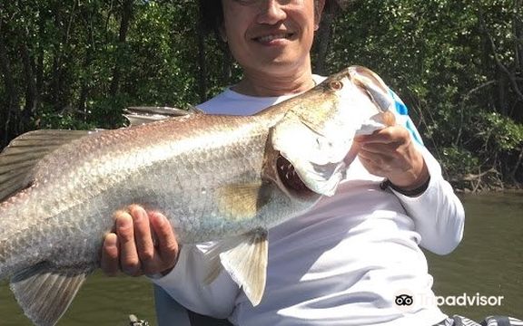 All Tackle Sportfishing Cairns