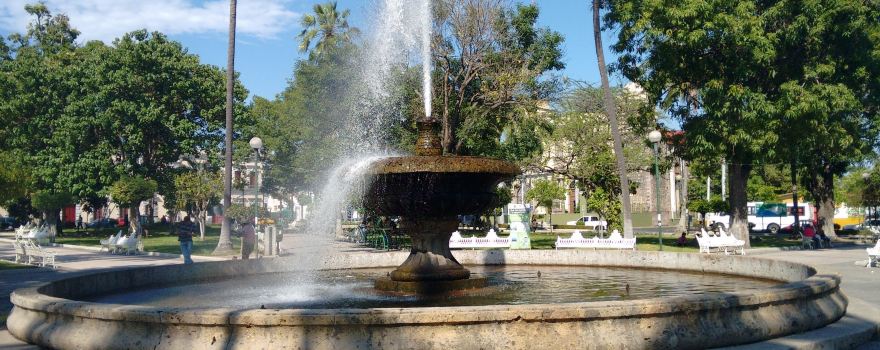 Jardin Nunez