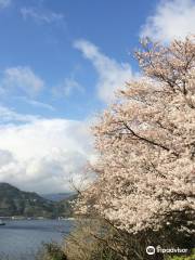 Suwazaki Nature Resting Grove