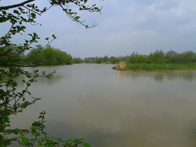 Downholland