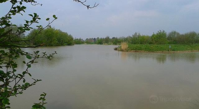 Даунхолленд